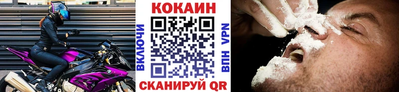Купить  Луза  COCAIN 98% 