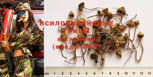 спайс Бородино