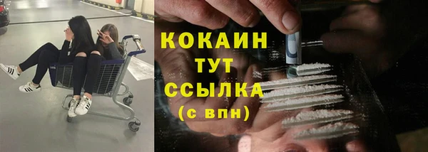 спайс Бородино