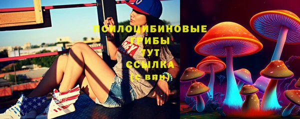 мдпв Бугульма