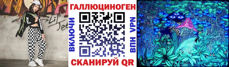 Купить  Луза  Псилоцибиновые грибы Psilocybine cubensis 